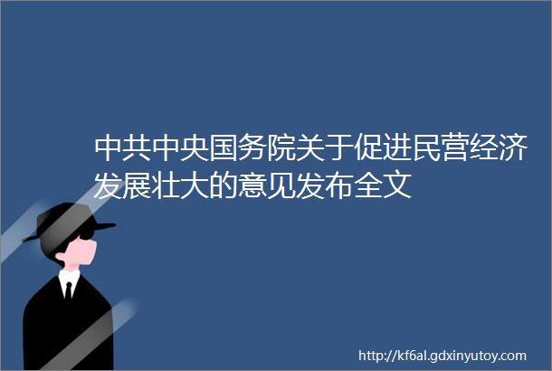 中共中央国务院关于促进民营经济发展壮大的意见发布全文
